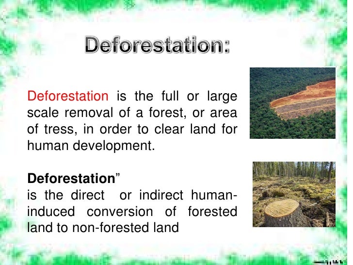 deforestation powerpoint presentation